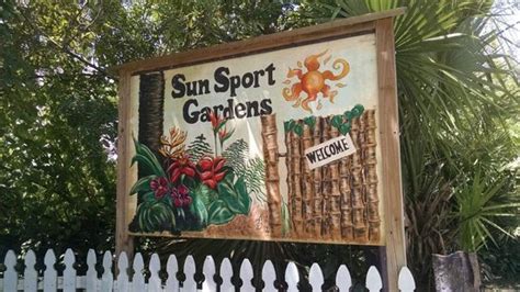 nude beach family|Sunsport Gardens Family Naturist Resort Pool Pictures & Reviews ...